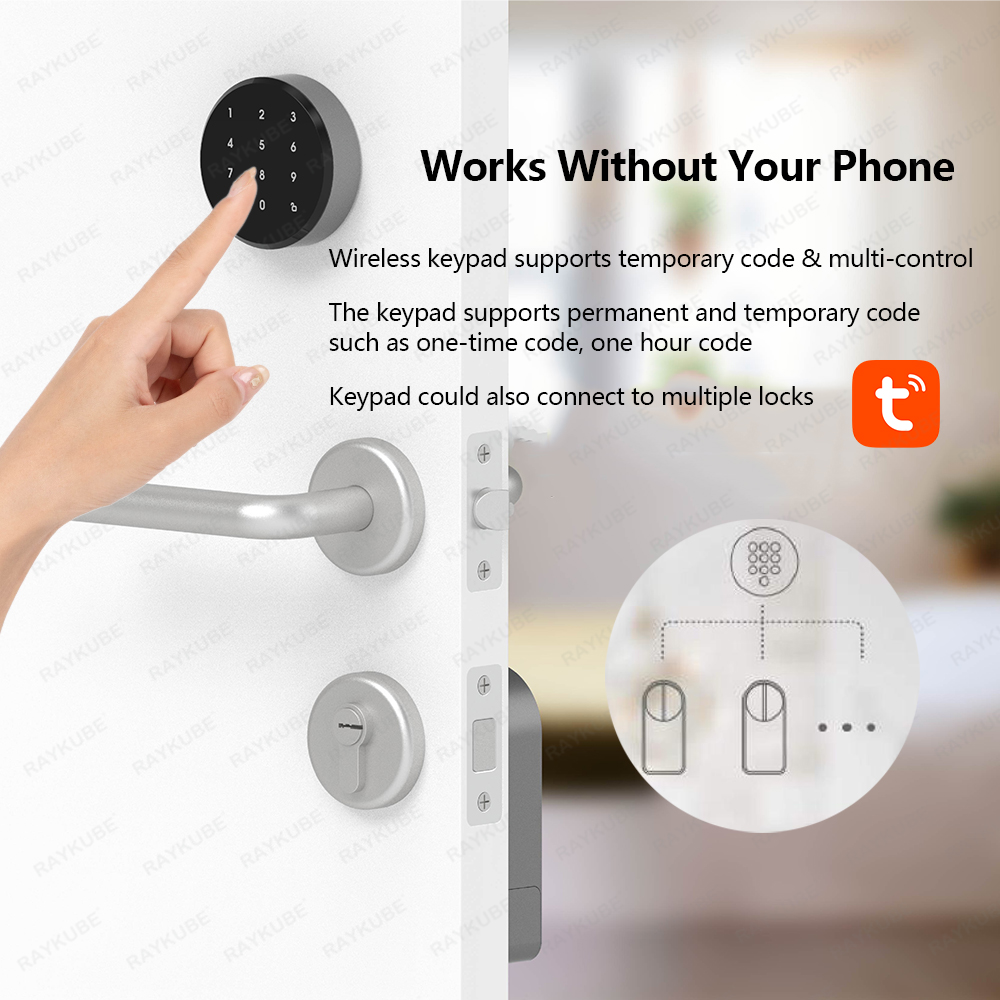 RAYKUBE A1 Pro Tuya BEL Smart  - огляд і ціна Home Security Keypad