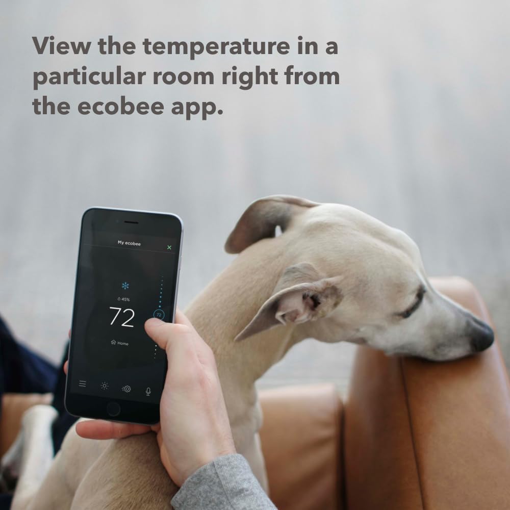 SmartSensor 2-Pack - Temperatu - огляд і ціна Home Security Wireless