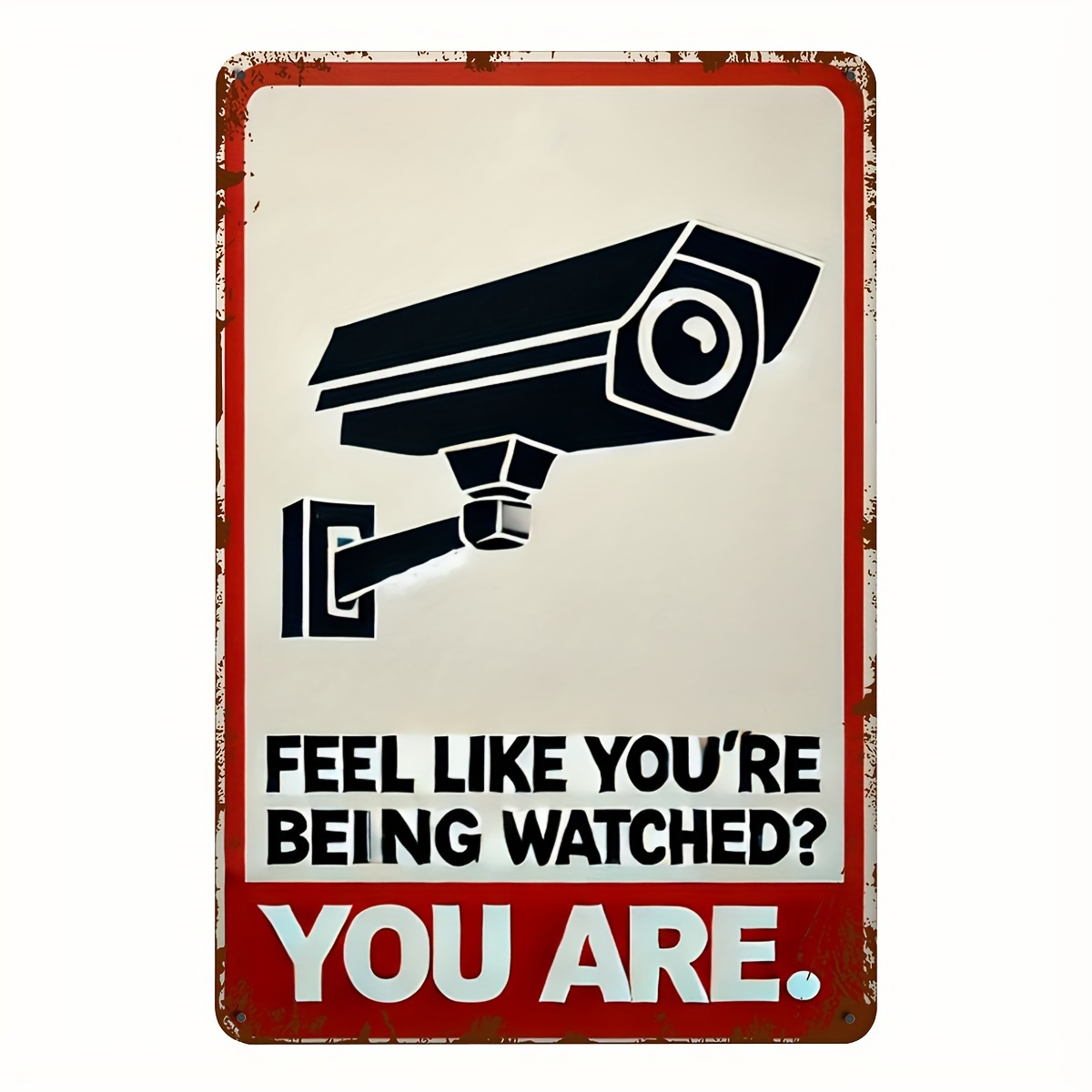 Funny Security Camera Warning  - огляд і ціна Home Security Panel