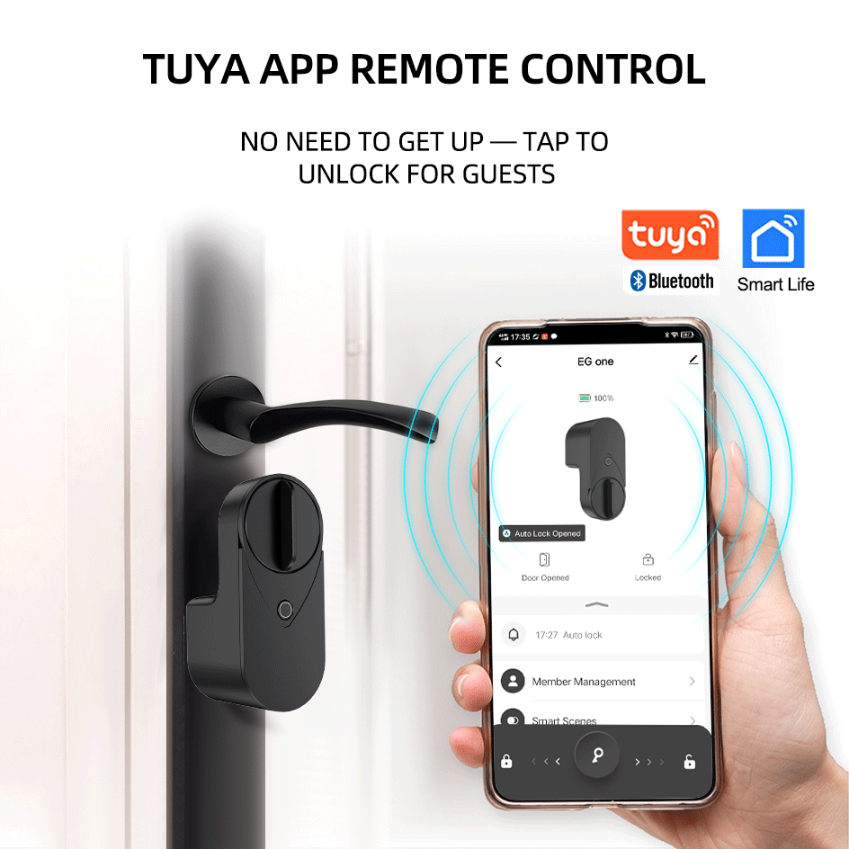 RAYKUBE EG One Tuya BLE Smart  - огляд і ціна Home Security Keypad