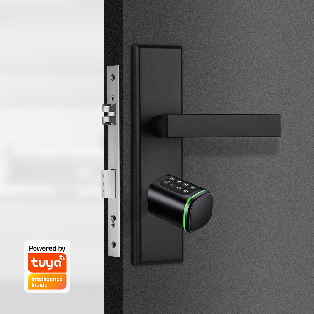 Smart Cylinder Lock Tuya 60-90 - огляд і ціна Home Security Brand